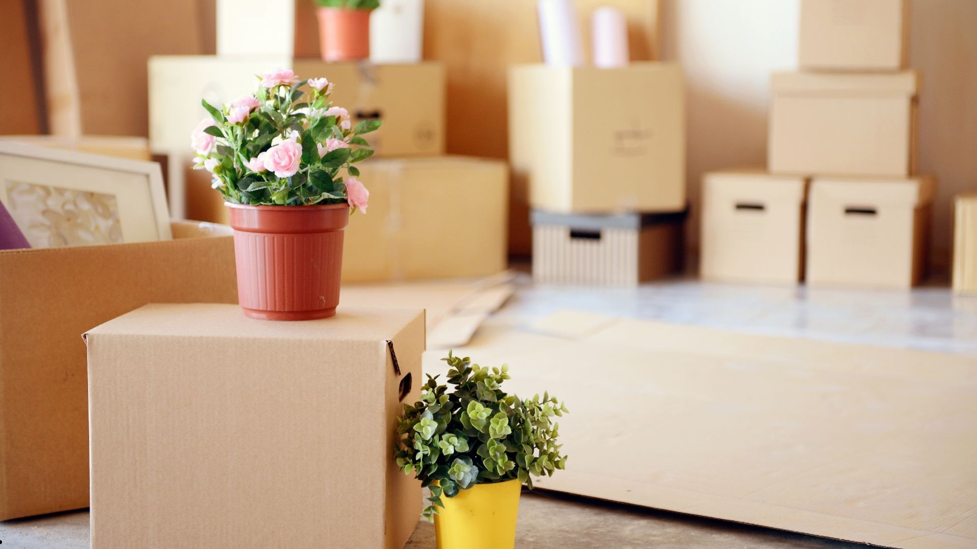 Kavaklı Evden Eve Nakliyat